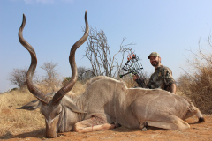 Greater-Kudu-bowhunted-Limcroma-Safaris-8